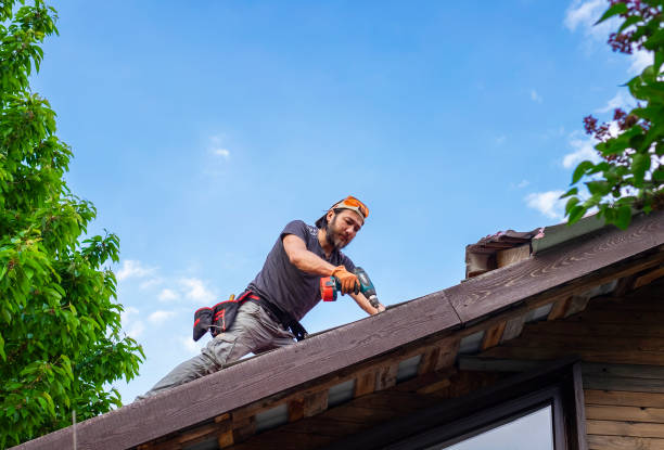 Best Gutter Installation and Repair  in Point Pleasant Beach, NJ